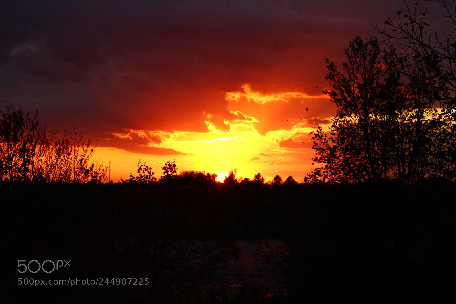 Canon EOS 100D (EOS Rebel SL1 / EOS Kiss X7) sample photo. The apocalypse moments photography