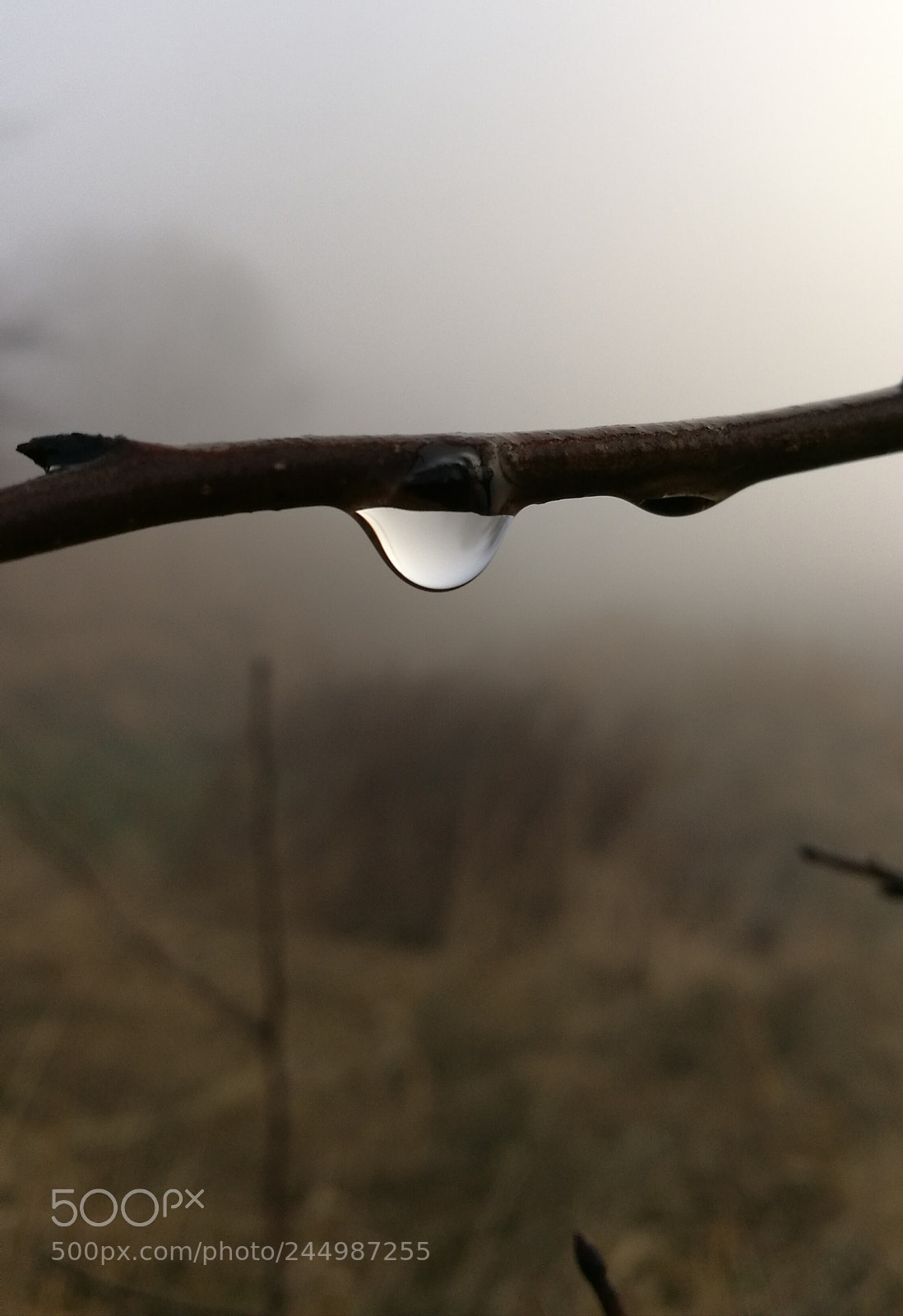 HUAWEI P9 sample photo. The drop photography