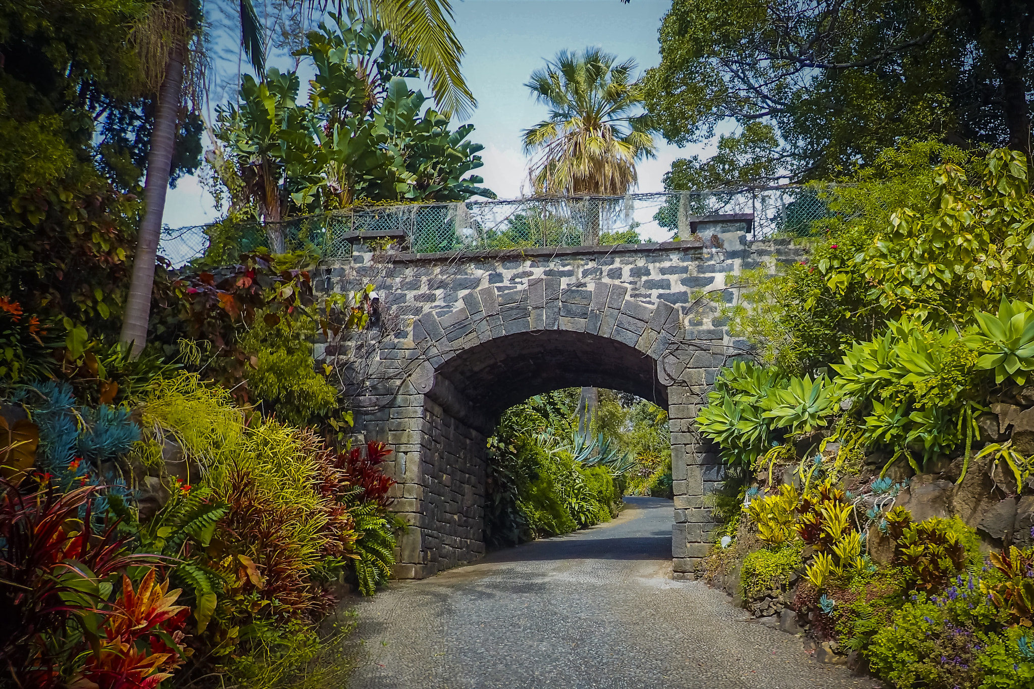 Olympus TG-3 sample photo. Funchal, madeira / portugal - house entrance photography