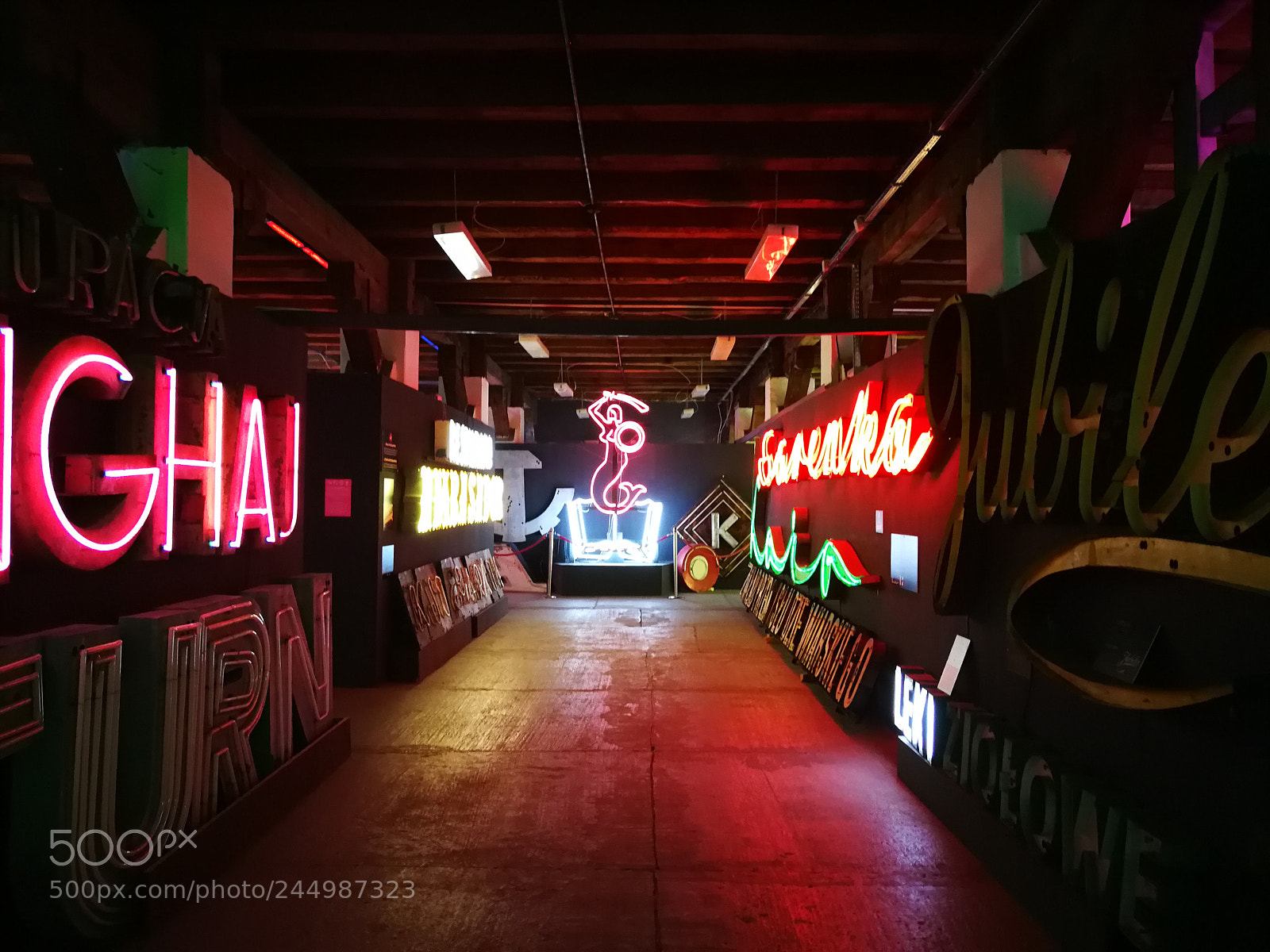 HUAWEI P10 Plus sample photo. Neons, use to on photography