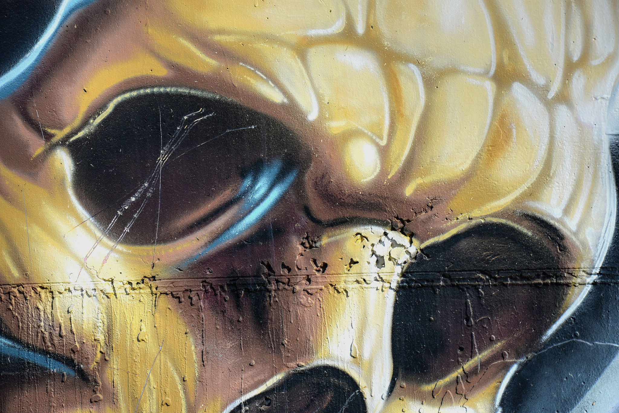 Nikon D610 sample photo. Mural photography