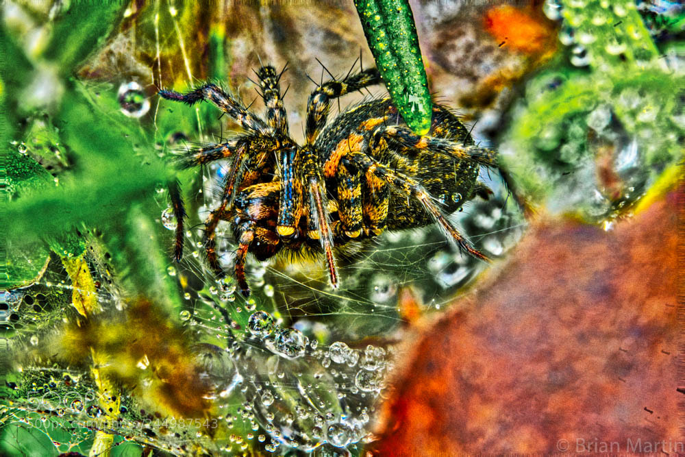 Sony a7R II sample photo. Zs pmax aurorahdr photography