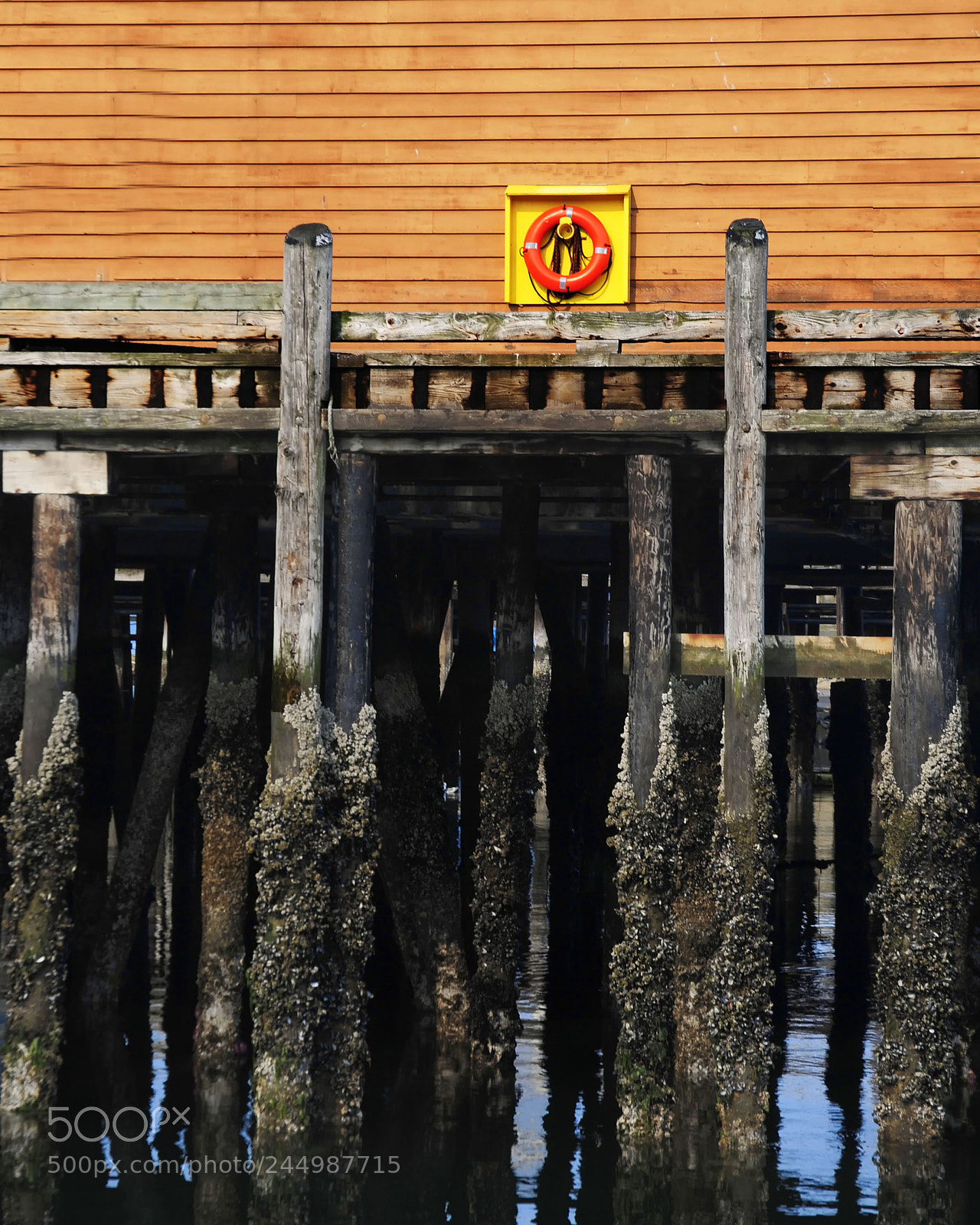 Nikon D300 sample photo. Dock photography