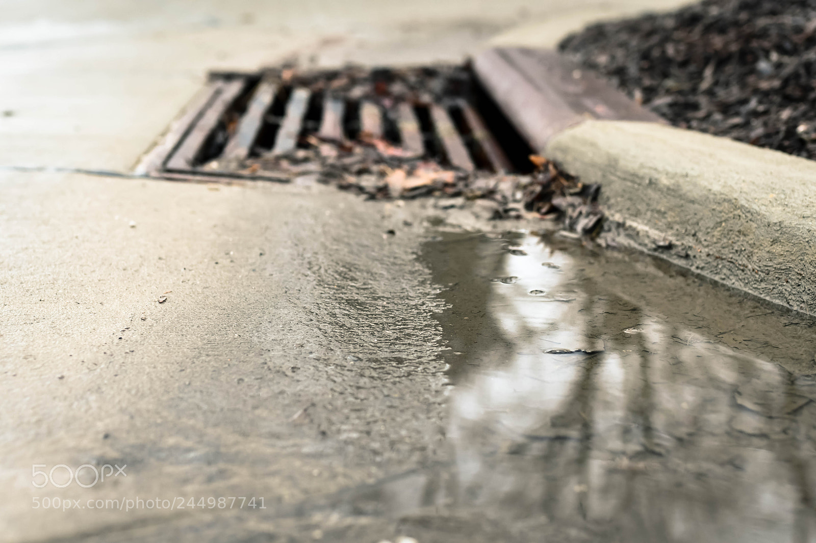 Nikon D7500 sample photo. Untitled photography