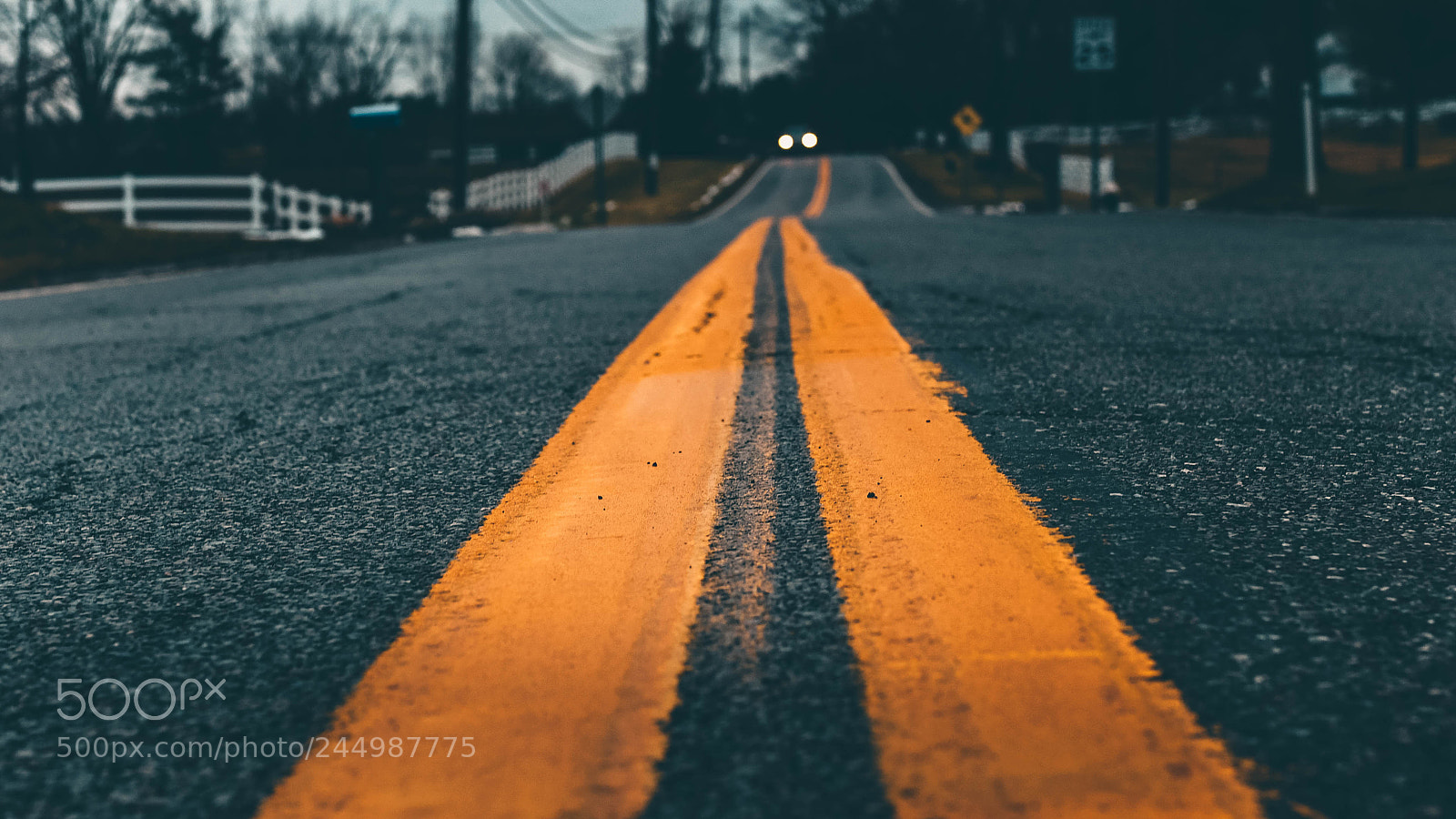 Nikon D7500 sample photo. Untitled photography