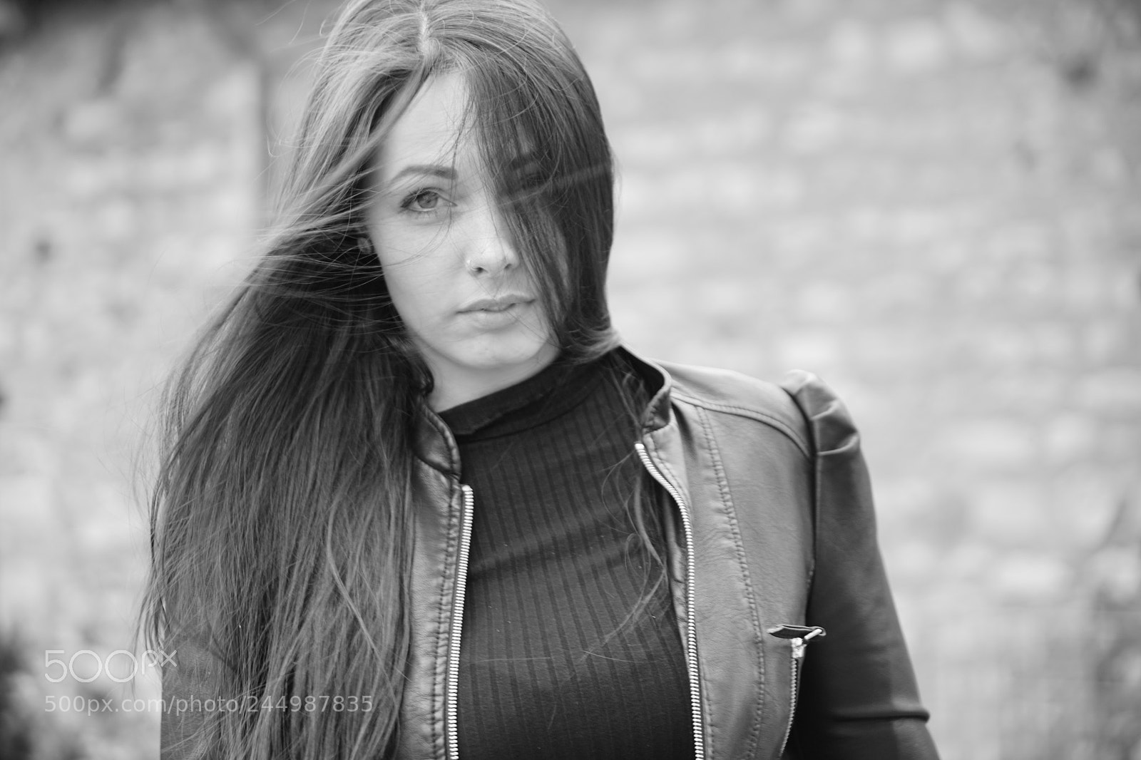 Sony a7 II sample photo. Windy photography
