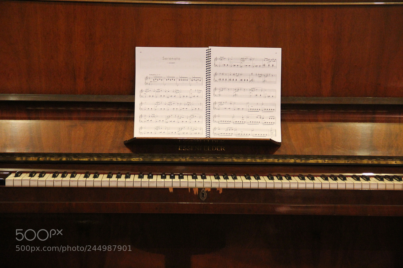 Canon EF-S 18-135mm F3.5-5.6 IS sample photo. Music photography