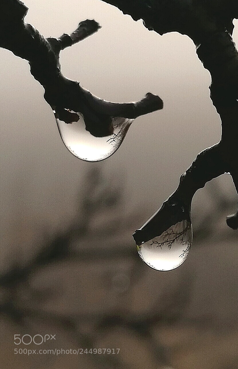 HUAWEI P9 sample photo. Reflection photography