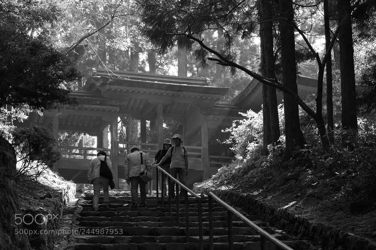 Fujifilm X-T1 sample photo. Couples photography