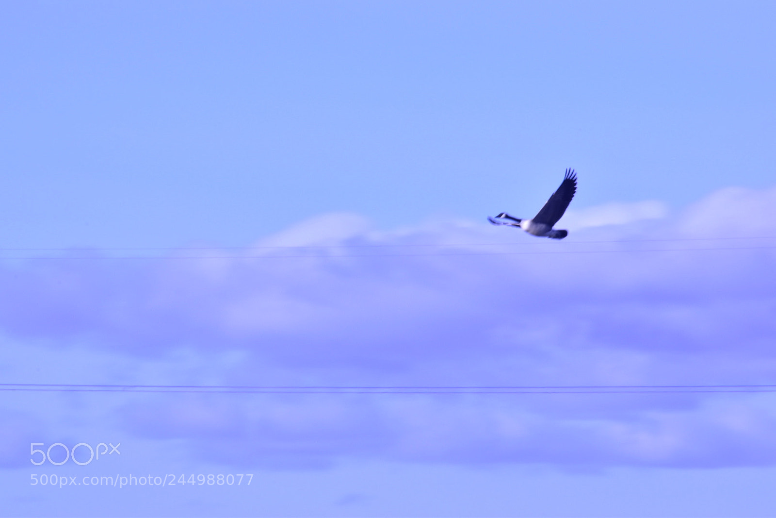 Nikon D5600 sample photo. Untitled photography