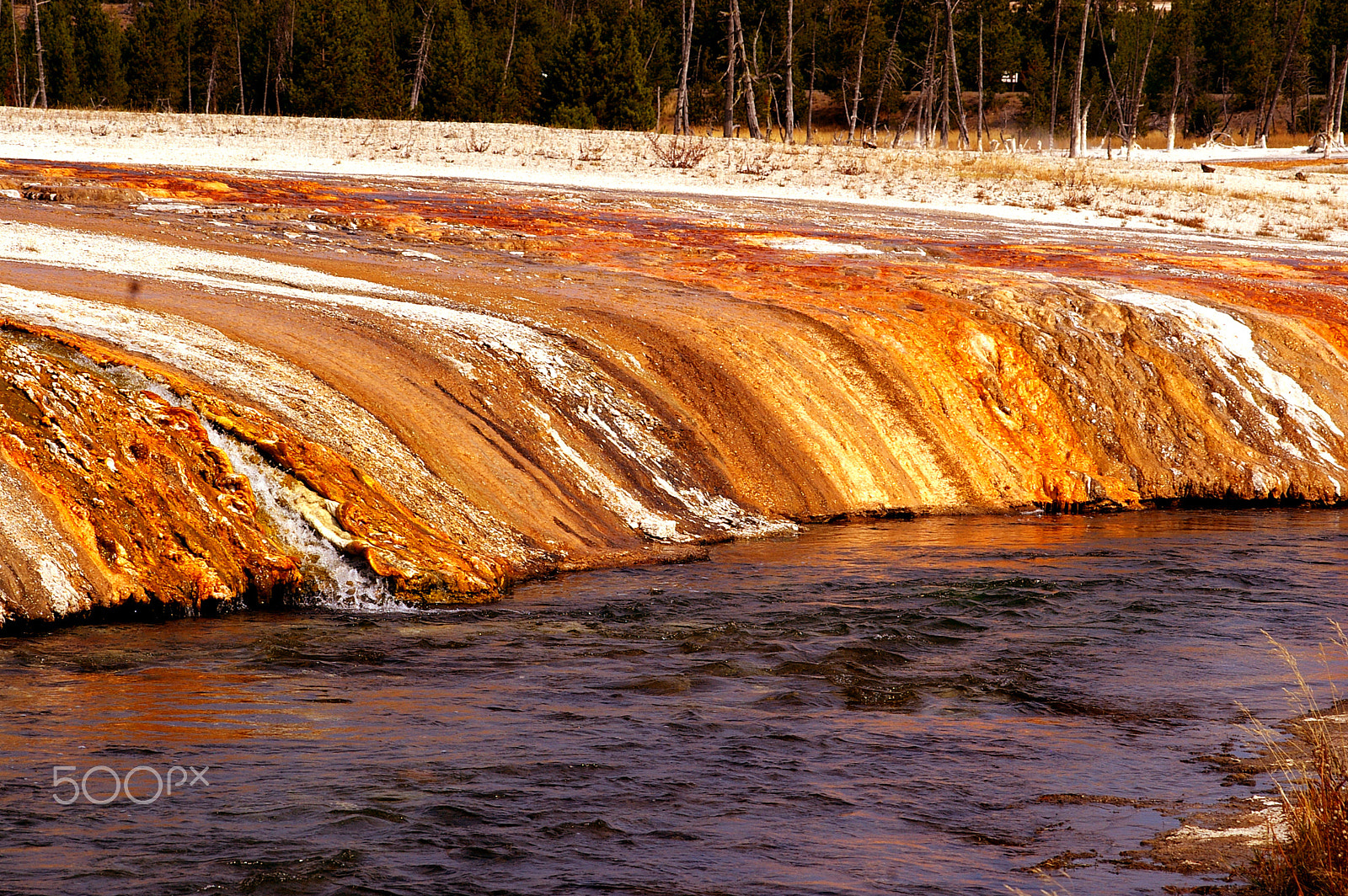 Samsung GX-1L sample photo. Yellowstone national park, usa photography