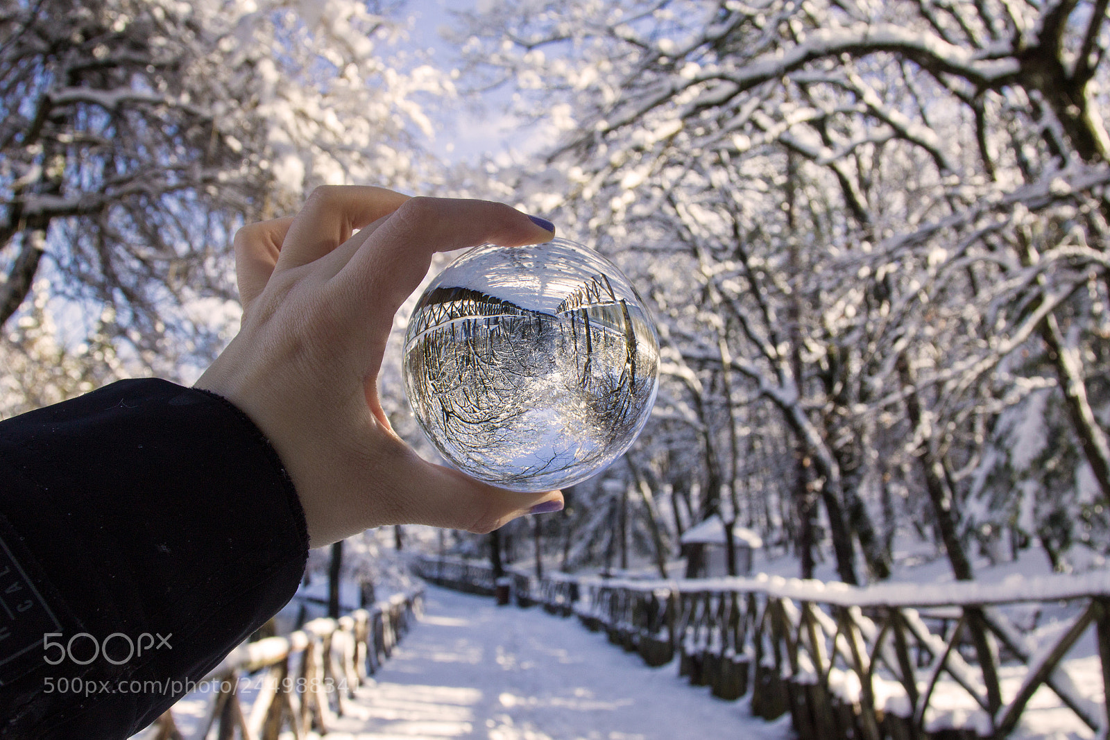 Canon EOS 1200D (EOS Rebel T5 / EOS Kiss X70 / EOS Hi) sample photo. In a dreamland photography