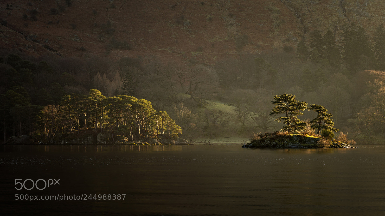 Nikon D810 sample photo. The light catchers photography