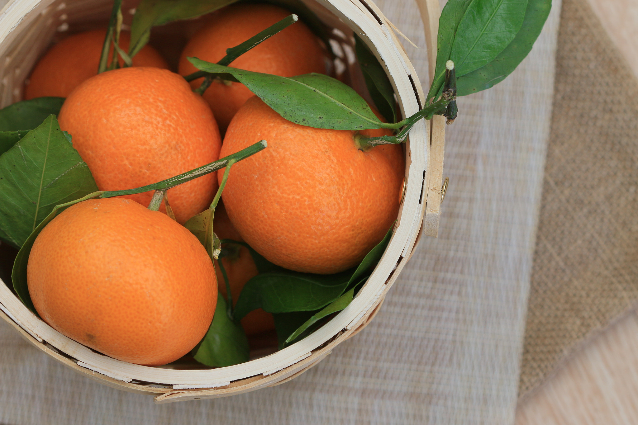 Canon EF 100mm F2.8 Macro USM sample photo. Mandarins photography