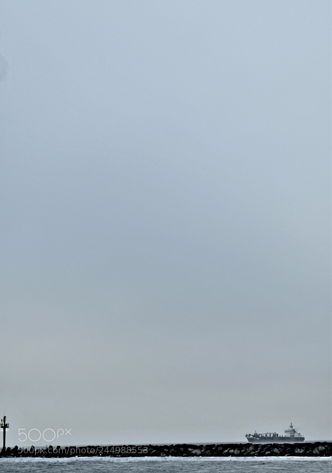 Nikon D5600 sample photo. Minimal photography