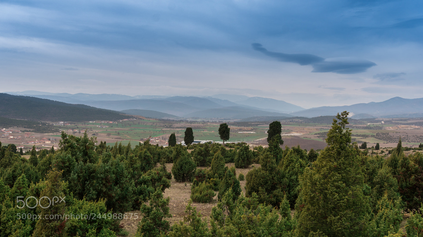 Sony a6300 sample photo. Kent ormanı photography