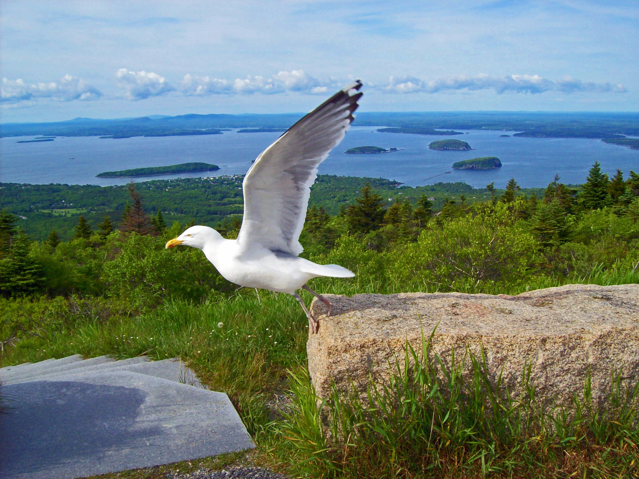 Kodak EASYSHARE C613 ZOOM DIGITAL CAMERA sample photo. Taking off, cadillac mountain, bar harbor, me photography