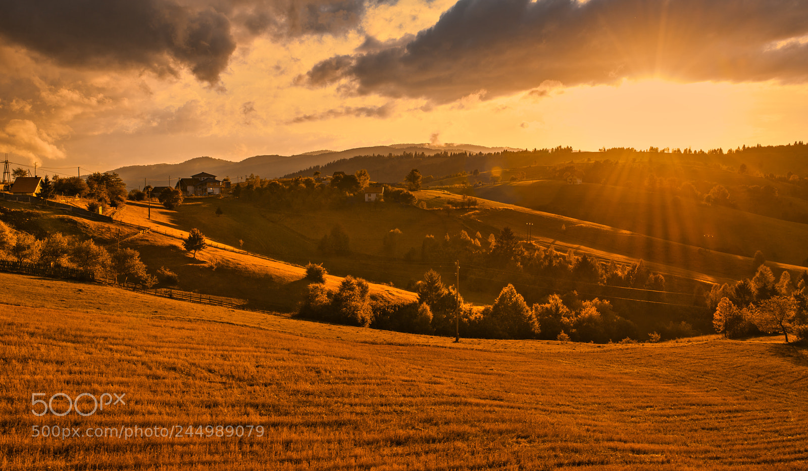 Nikon D610 sample photo. Sunset time photography