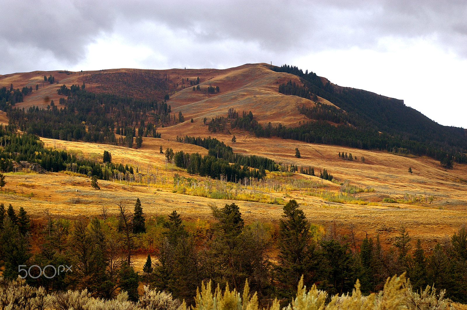 Samsung GX-1L sample photo. Yellowstone np, usa photography