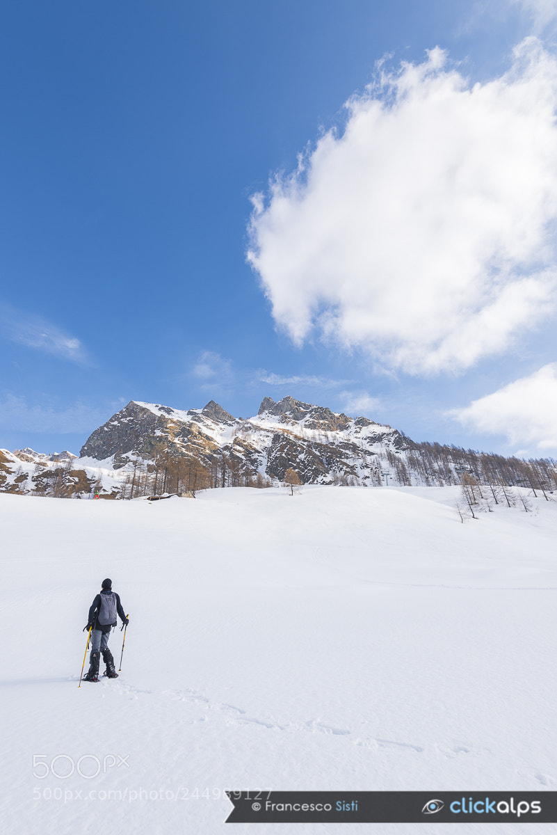 Nikon D810 sample photo. Winter space (valle soana) photography