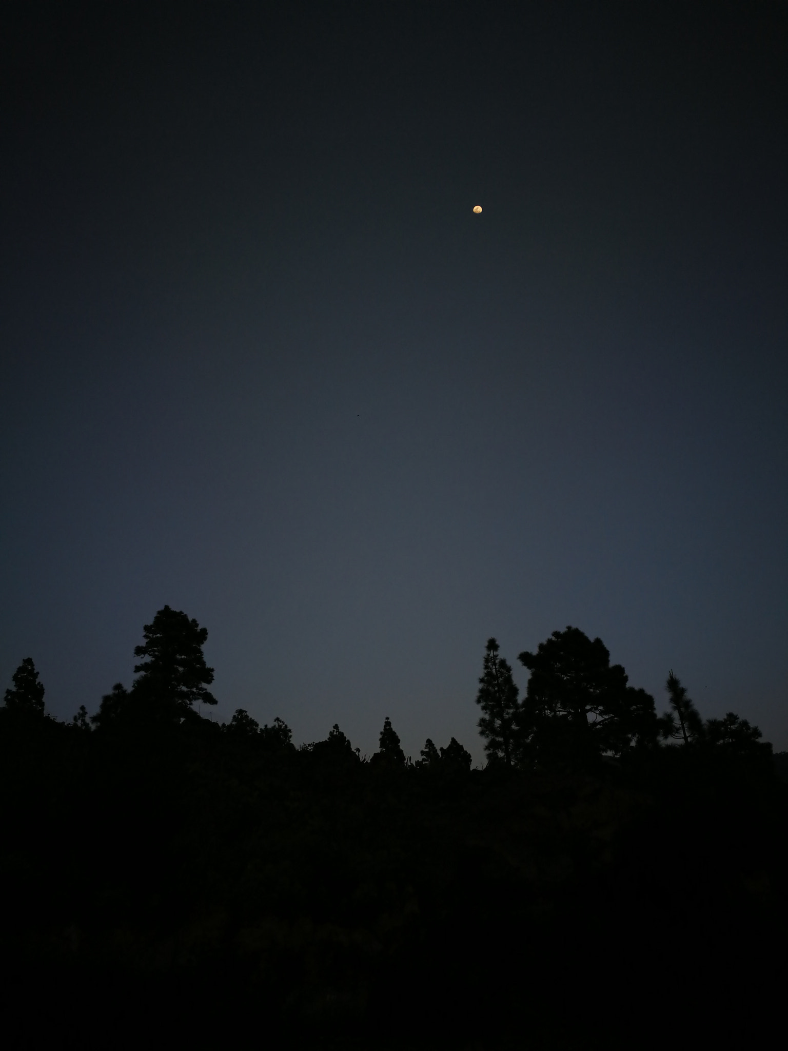 HUAWEI Mate 9 Pro sample photo. Night sky photography