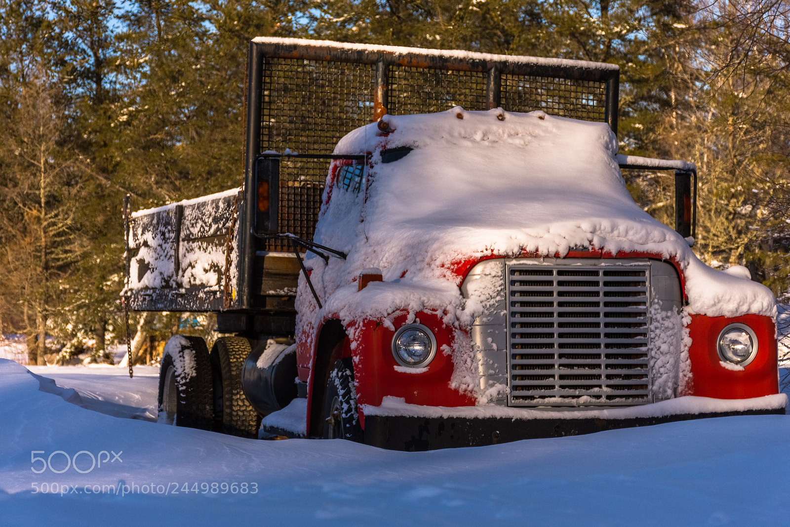 Nikon D7200 sample photo. Winter scene photography