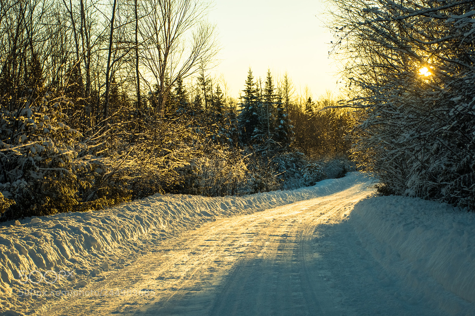 Nikon D7200 sample photo. Winter scene photography