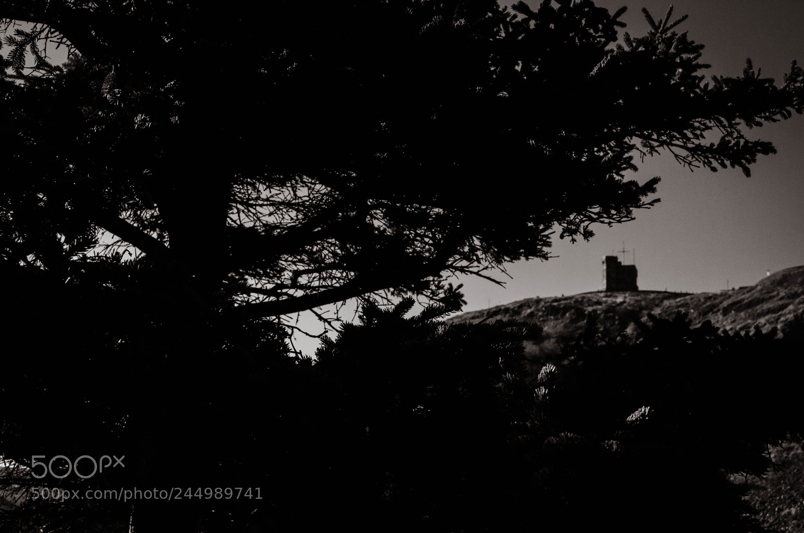 Nikon D5100 sample photo. Cabot tower photography