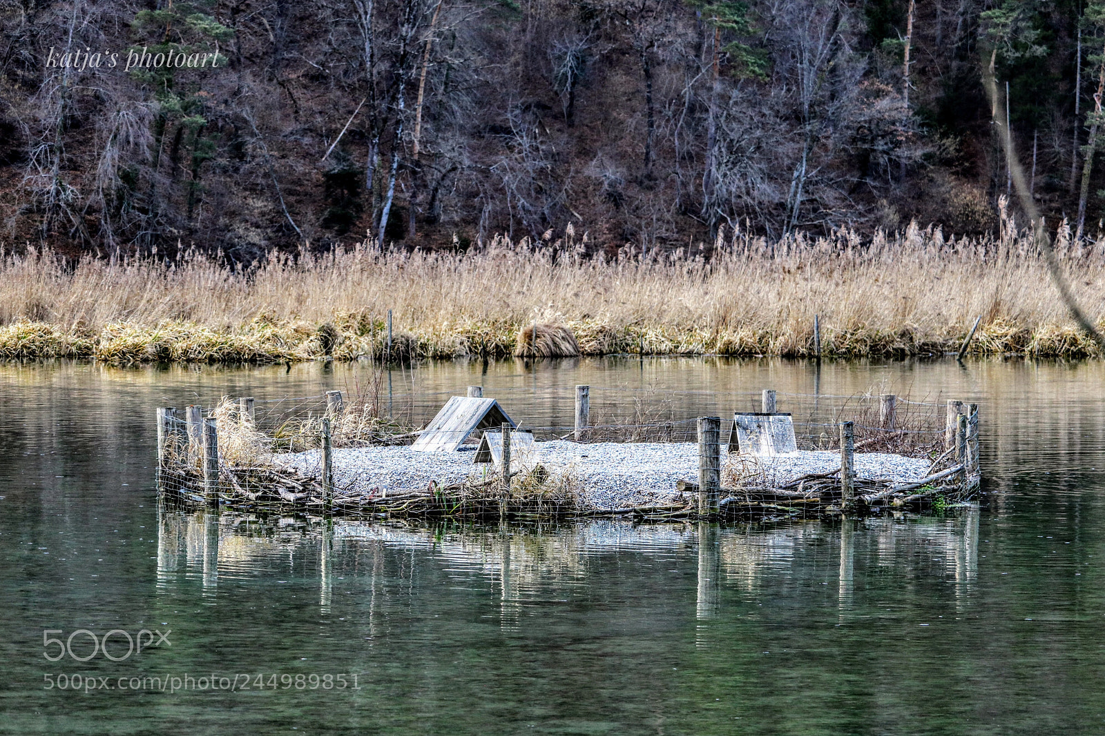 Canon EOS 750D (EOS Rebel T6i / EOS Kiss X8i) sample photo. Water bird island photography