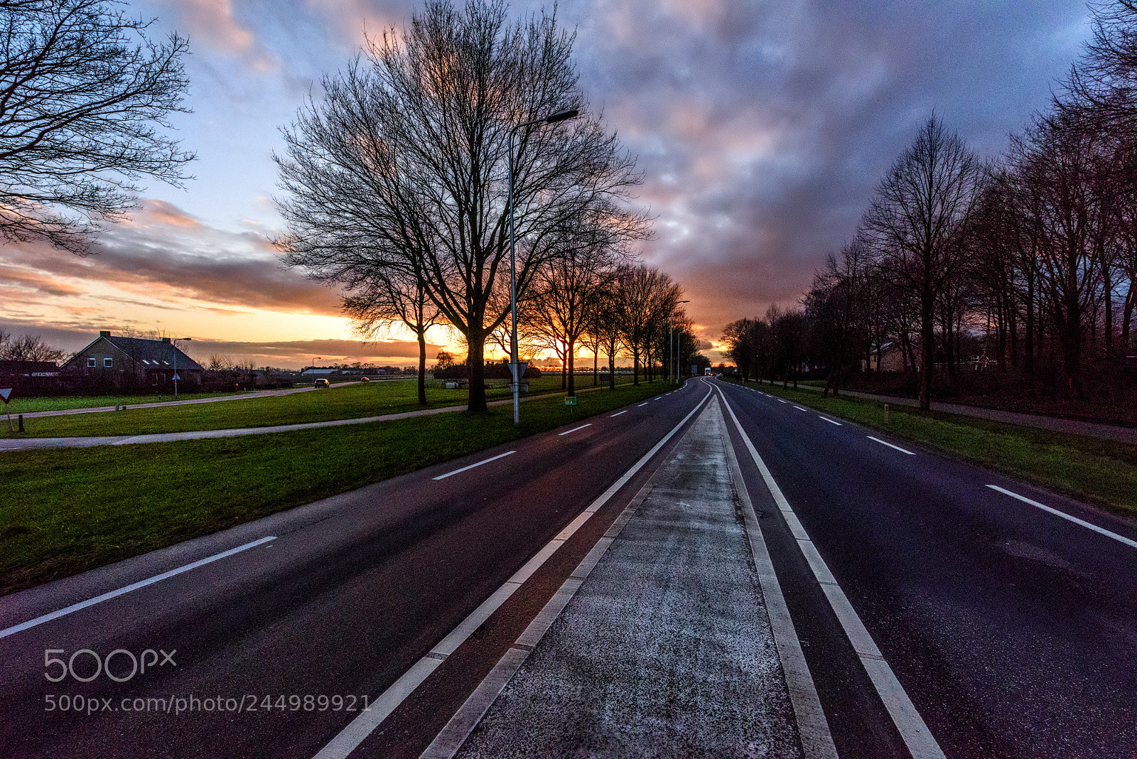 Nikon D810 sample photo. Crossing street by sunset ! photography