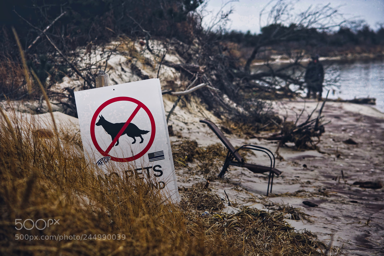 Nikon D7200 sample photo. No pets..... photography