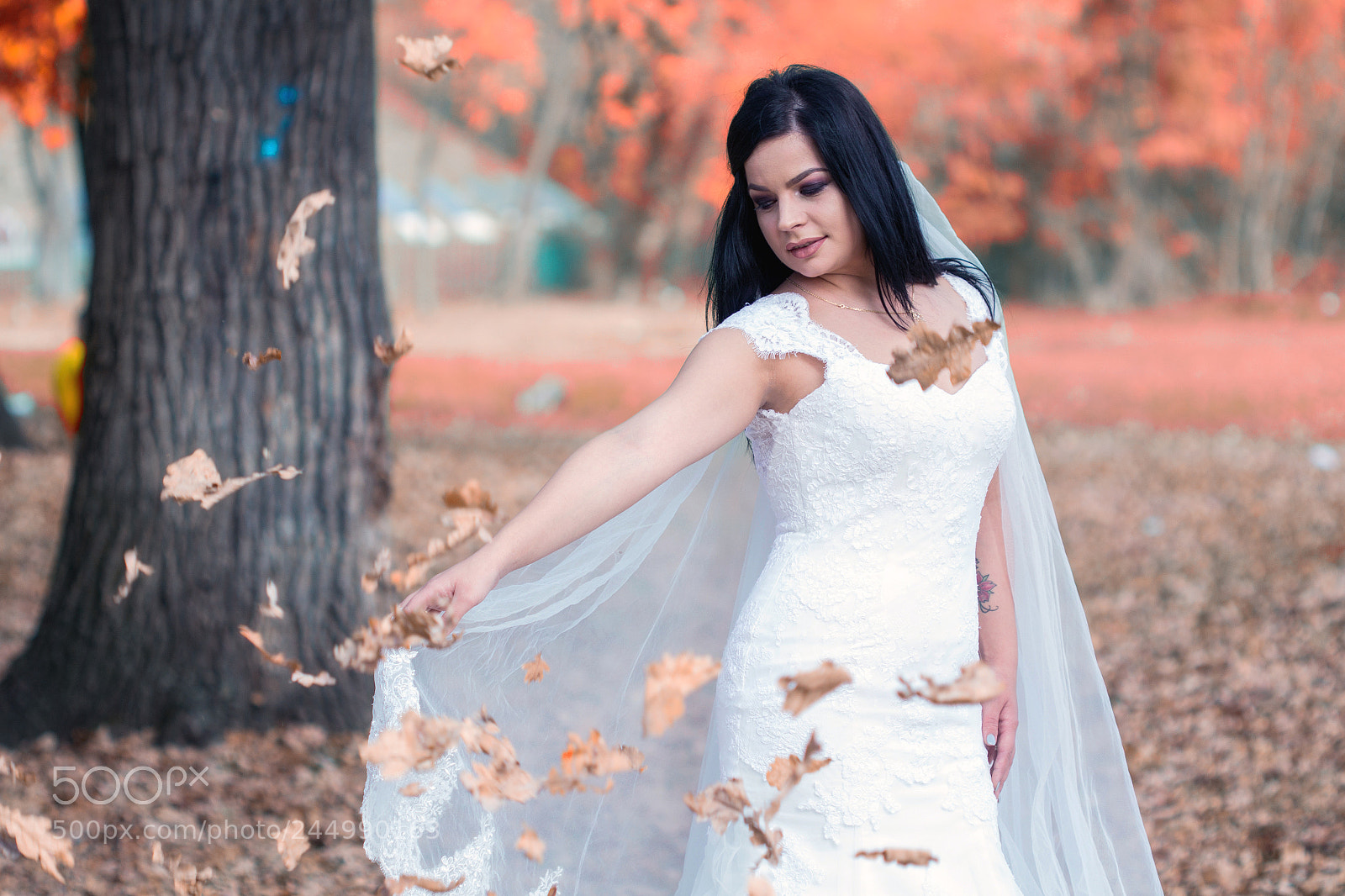 Canon EOS 60D sample photo. Img photography