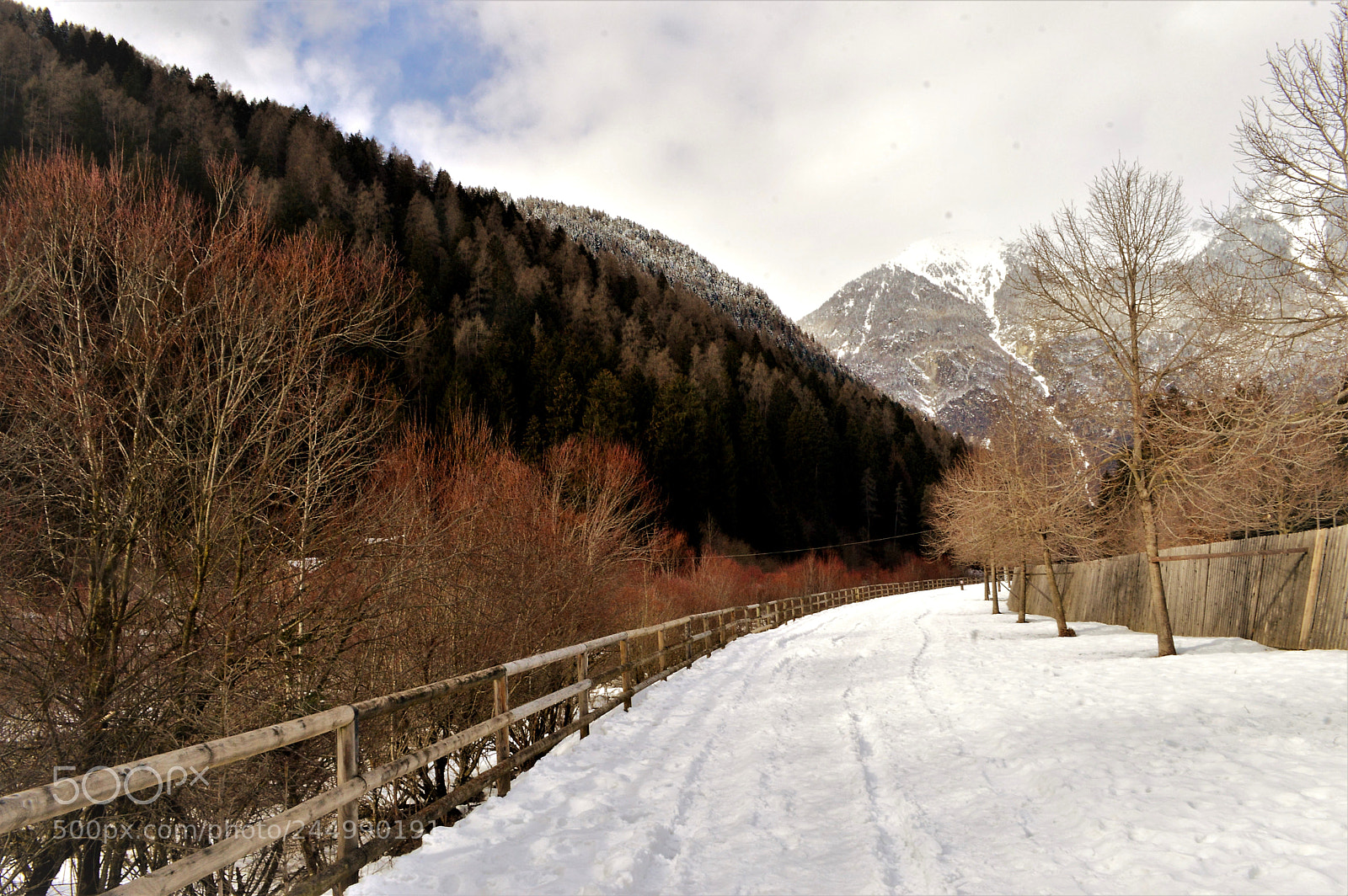 Nikon D3200 sample photo. Pista ciclabile a pinzolo photography