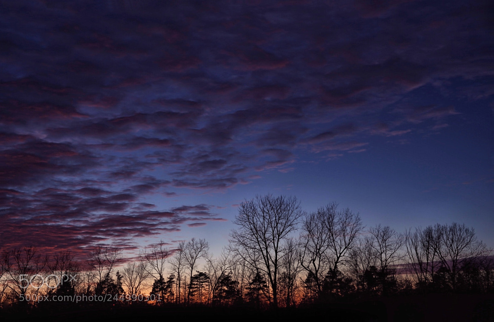 Sony a7 II sample photo. Out in the heartland photography