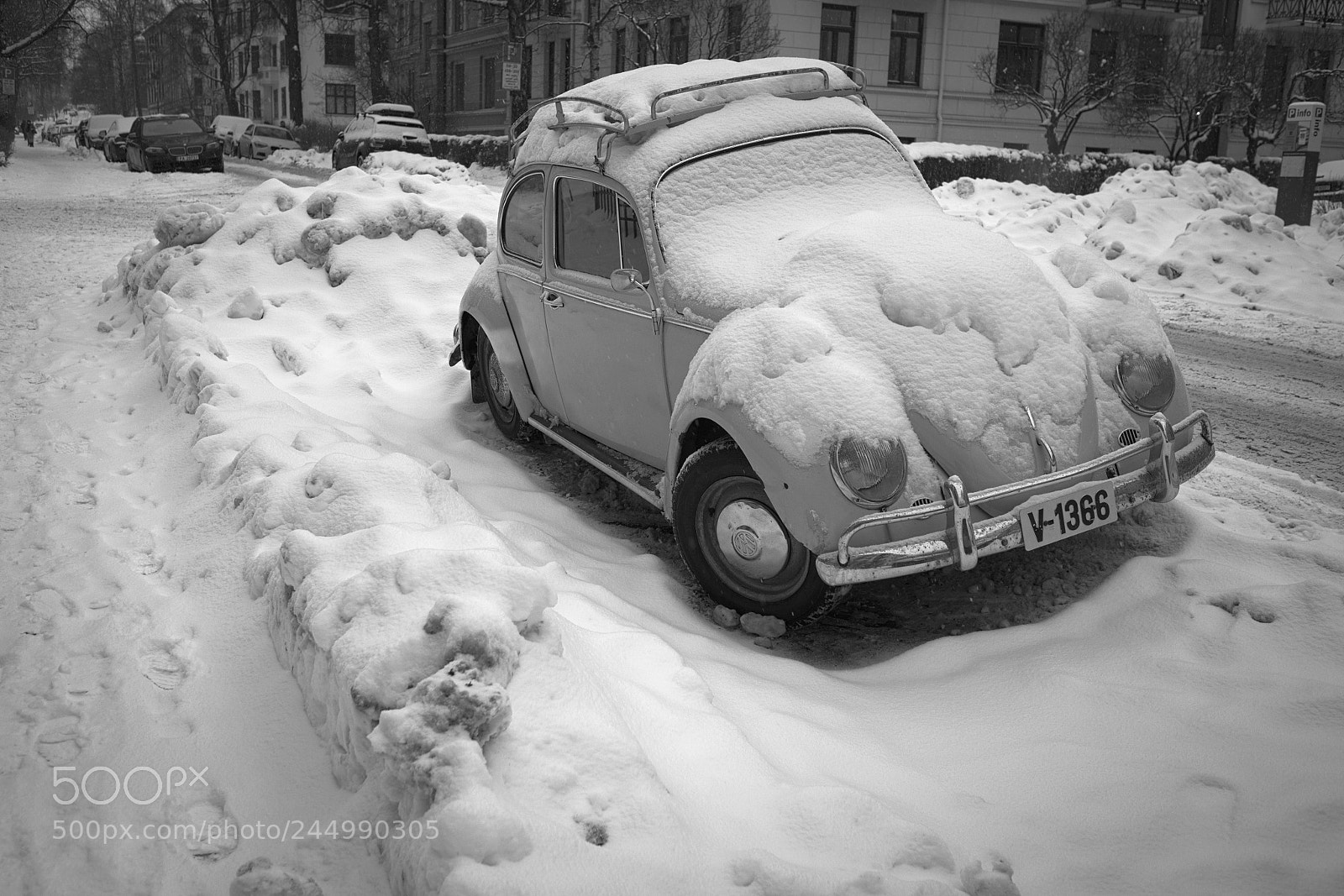 Fujifilm X-T1 sample photo. White beatle photography