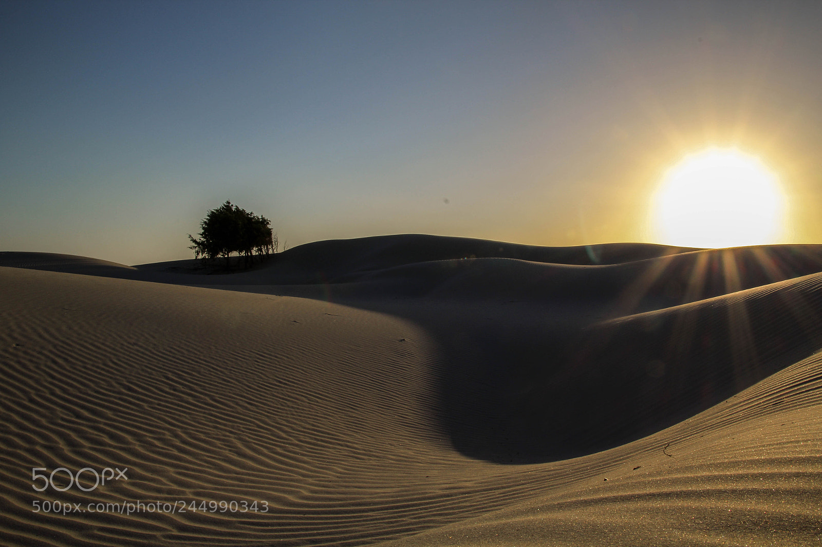 Canon EOS 1200D (EOS Rebel T5 / EOS Kiss X70 / EOS Hi) sample photo. Italian desert photography