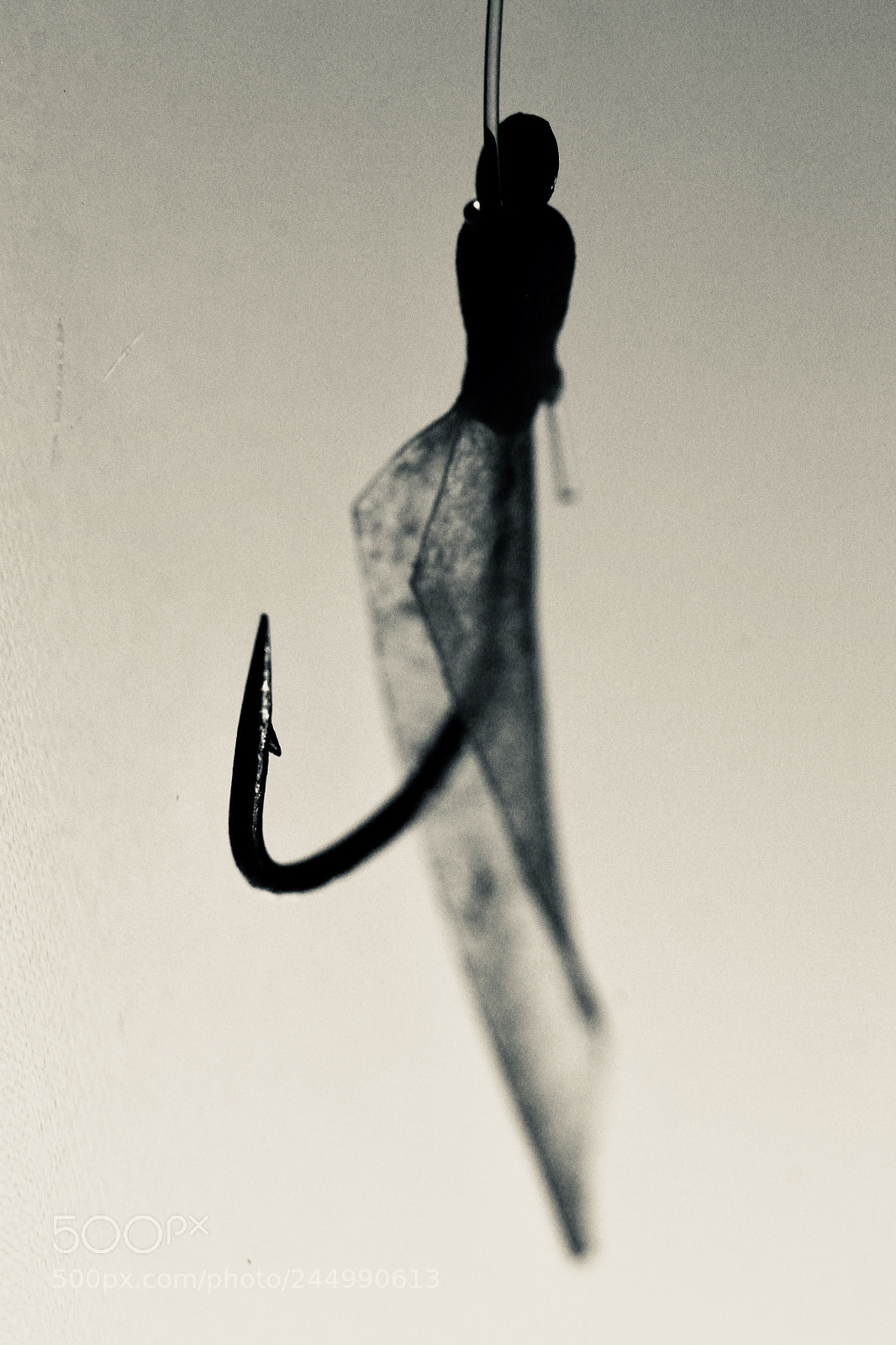 Canon EOS 60D sample photo. Macro photography photography