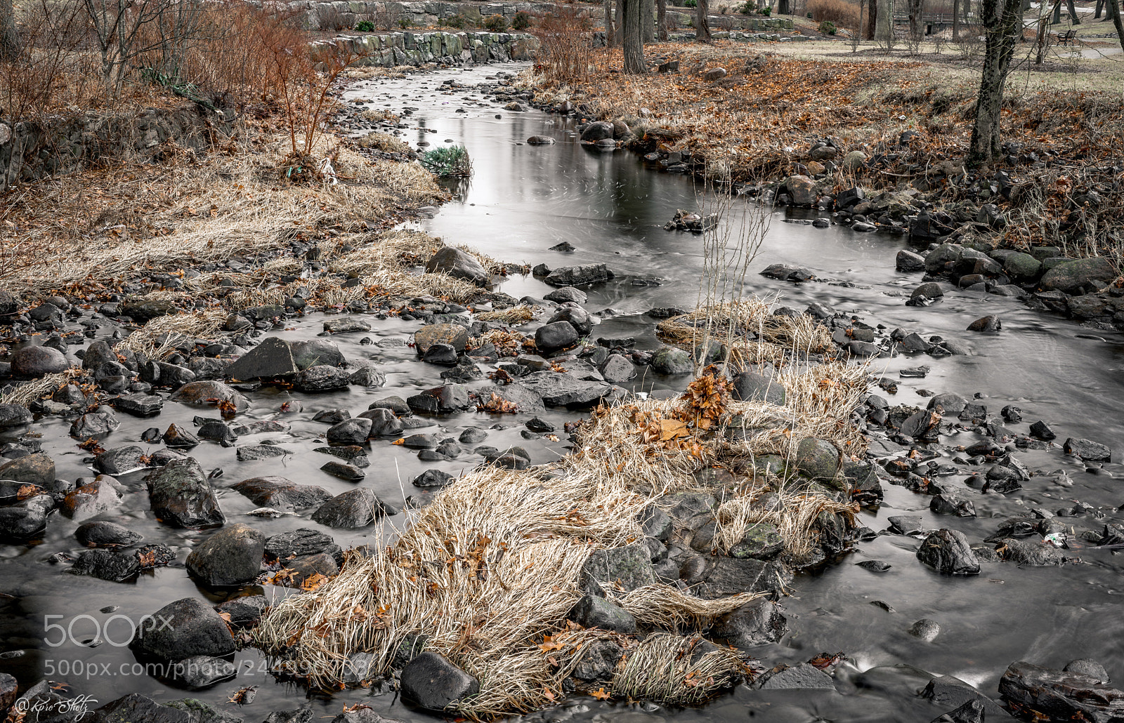 Sony a7 II sample photo. Enjoying the creek photography