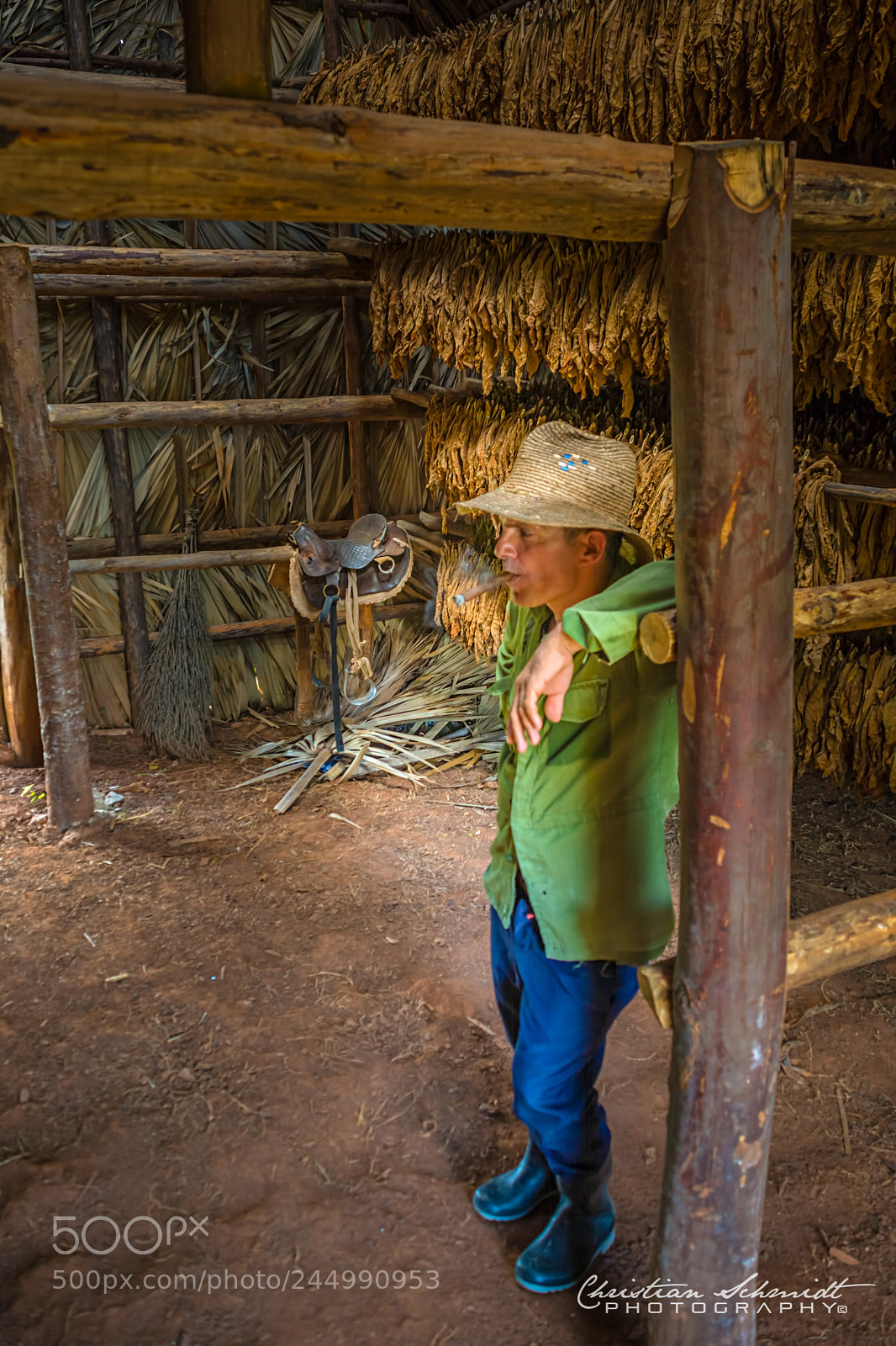 Nikon D7100 sample photo. The tobacco farmer photography