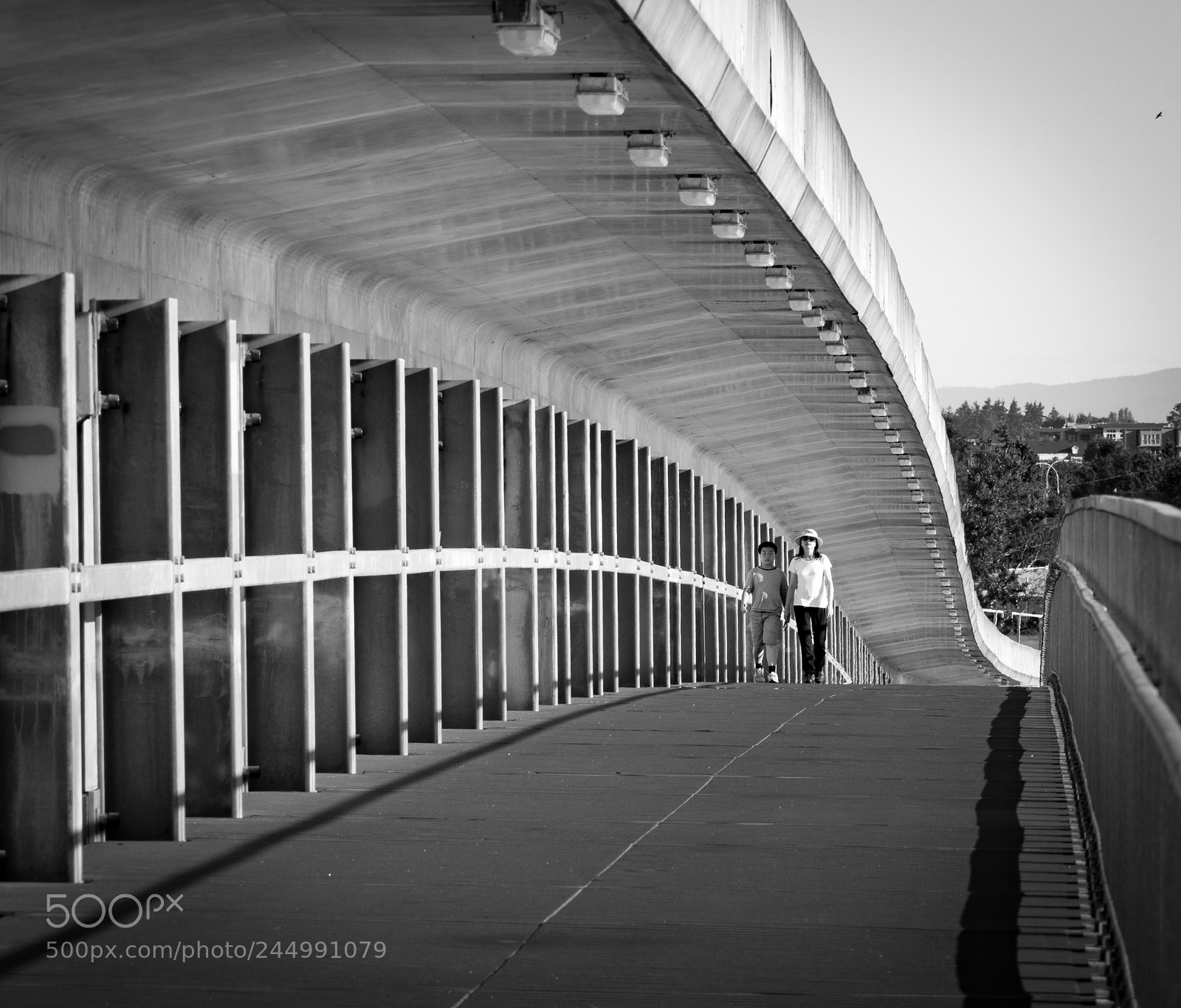 Sony ILCA-77M2 sample photo. Bridge photography