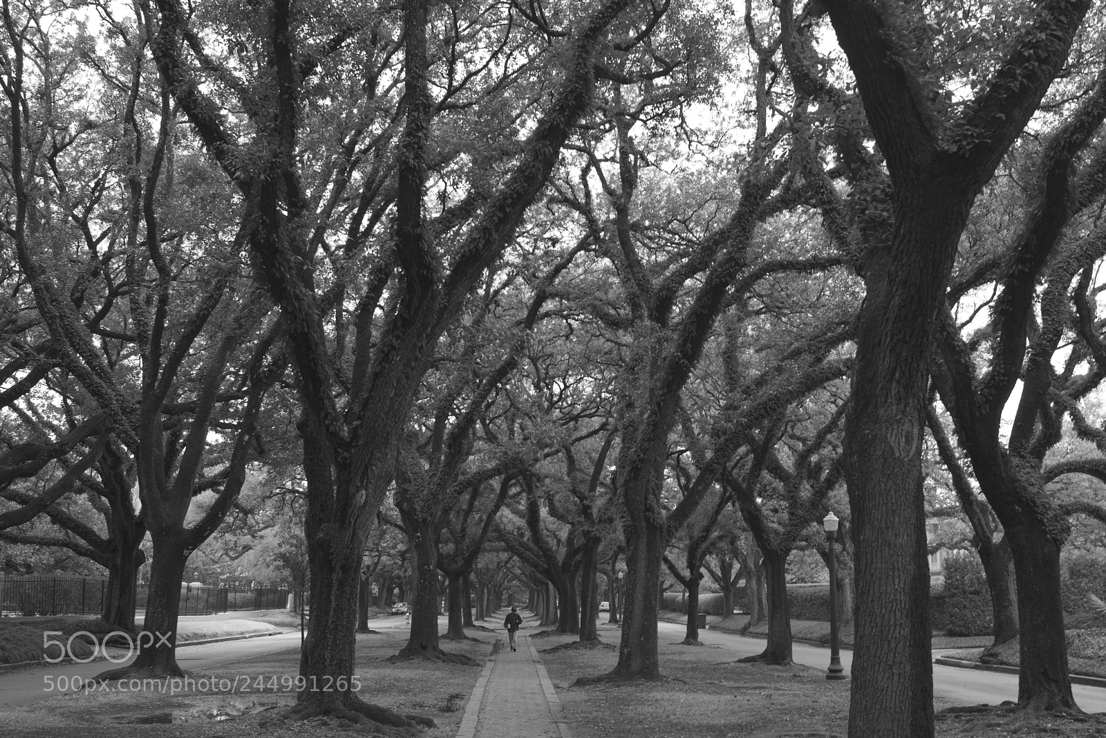 Nikon D7100 sample photo. Boy in the boulevard photography