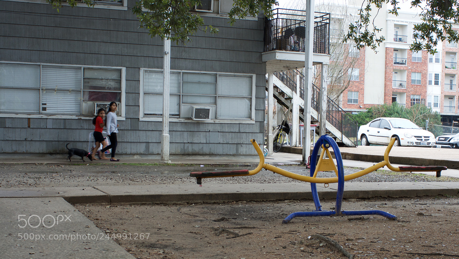 Nikon D7100 sample photo. Morning dog walk in photography