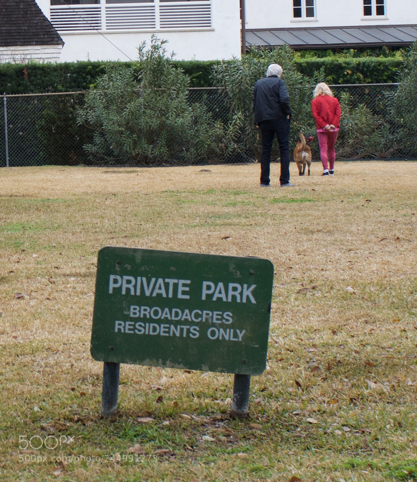 Nikon D7100 sample photo. A private walk photography