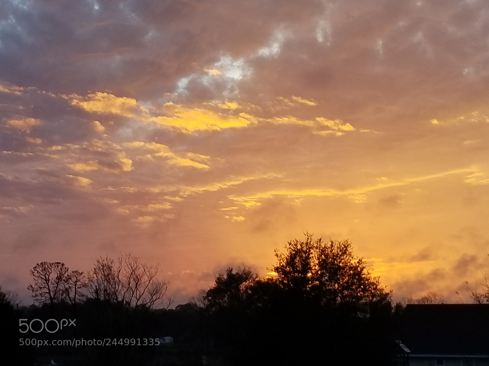 Samsung Galaxy S8+ sample photo. Florida sunset photography