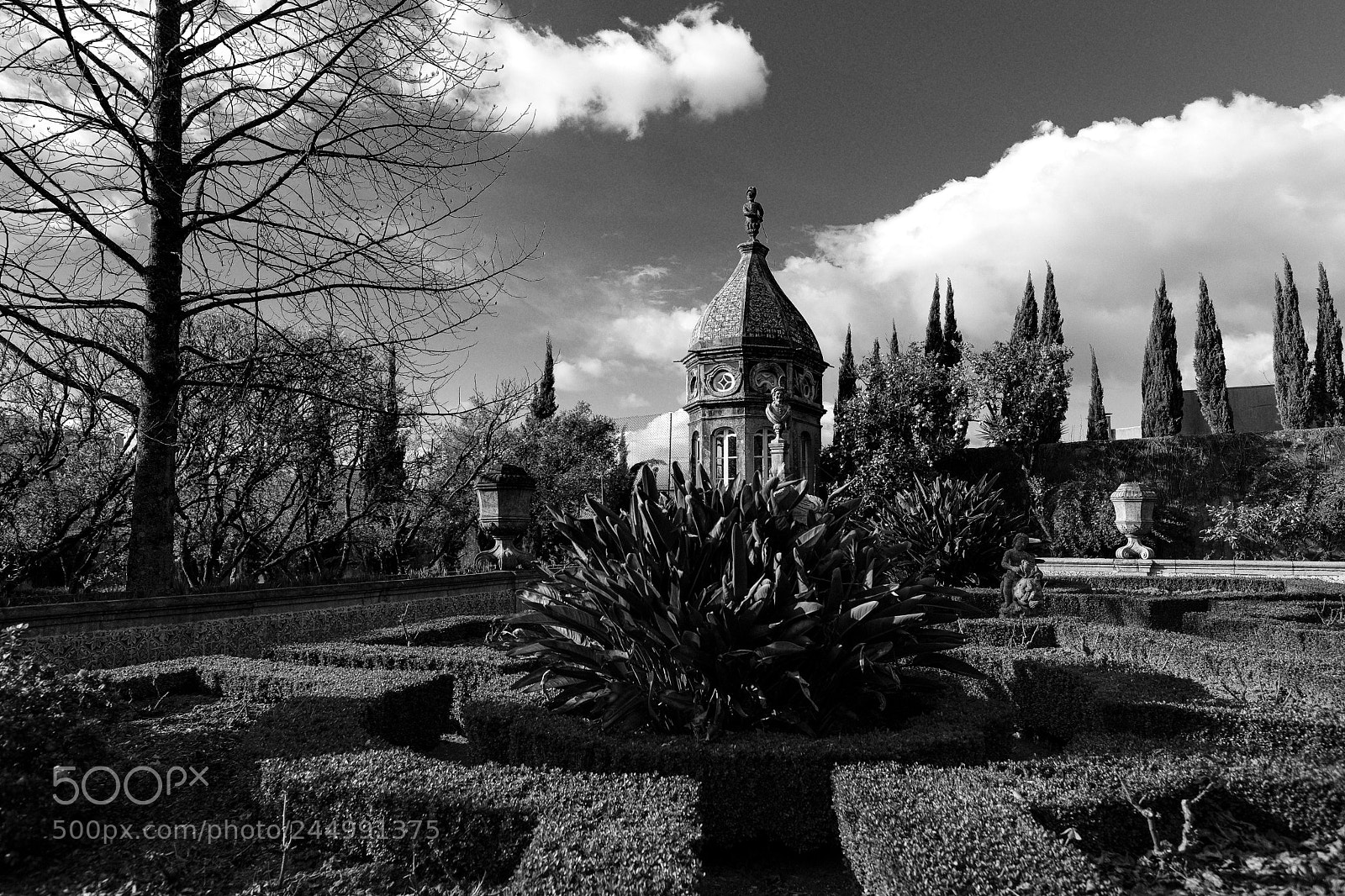 Fujifilm X-T20 sample photo. Dark garden photography