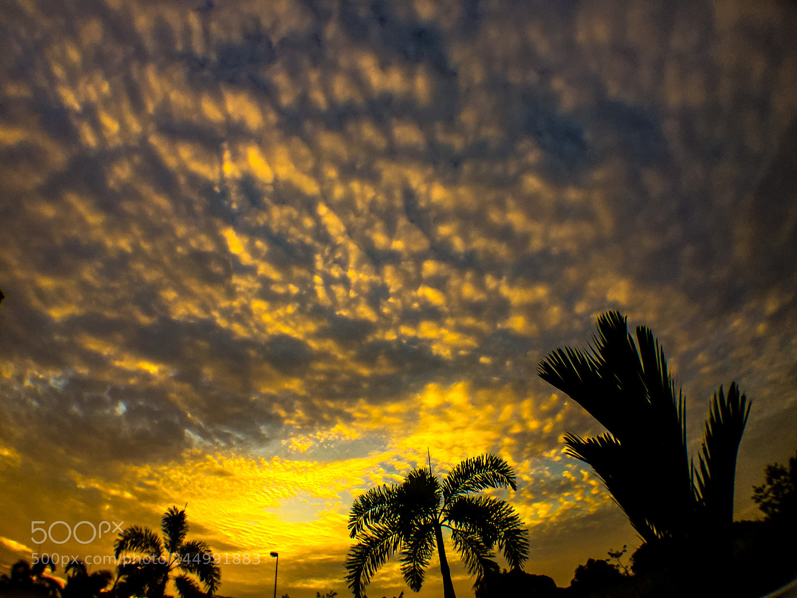 Apple iPhone 6 Plus sample photo. Beautiful sunrise. photography