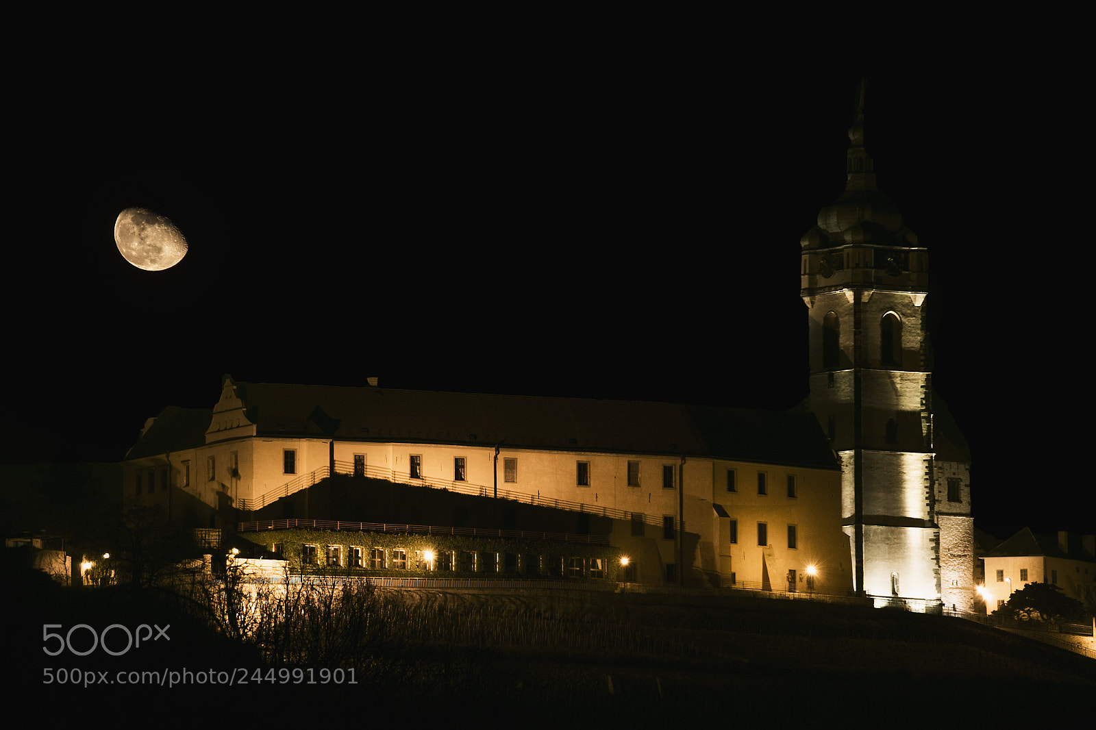 Nikon D810 sample photo. Castle and moon photography