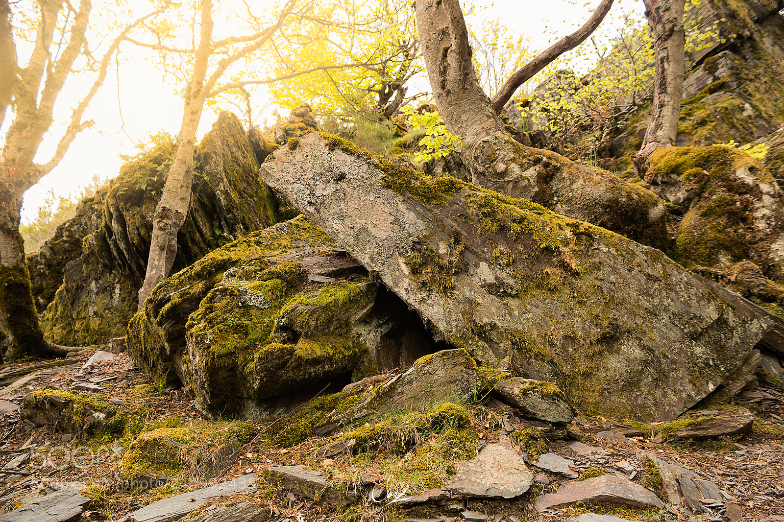 Canon EOS 1300D (EOS Rebel T6 / EOS Kiss X80) sample photo. Stone & moss photography