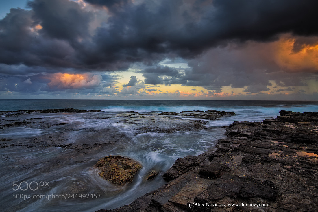 Nikon D810 sample photo. Narrabeen photography