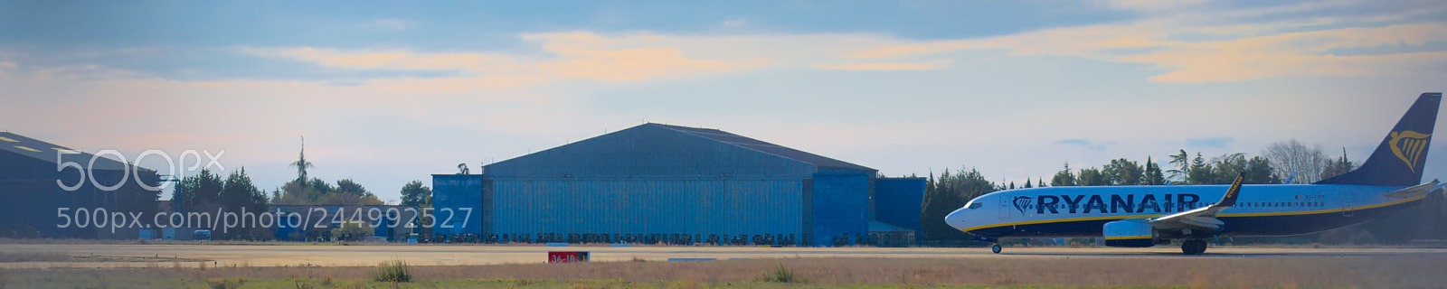 Nikon D5600 sample photo. Ready to take off photography
